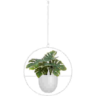 DS BS Minimalist Metal Plant Hanger Round Shape-White