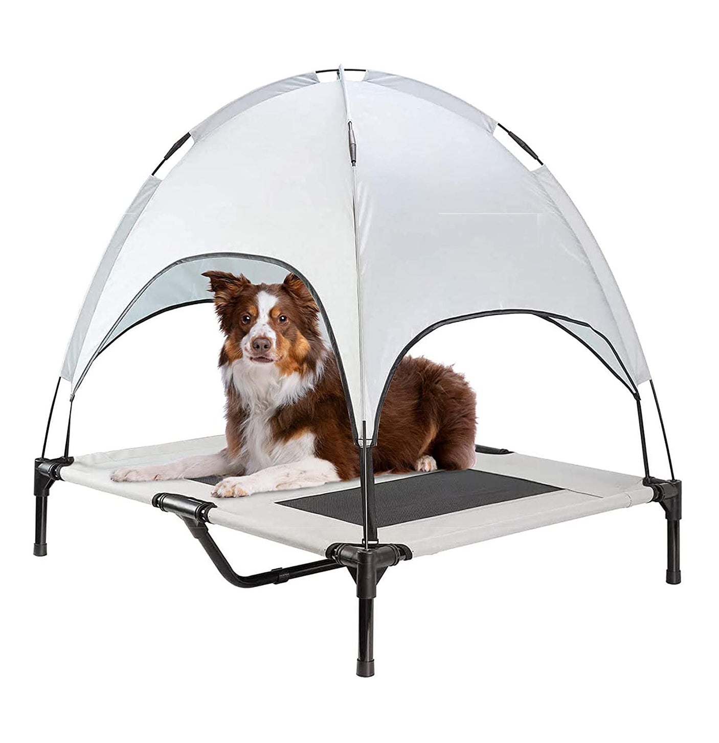 DS BS Elevated Outdoor Dog Bed with Canopy-L