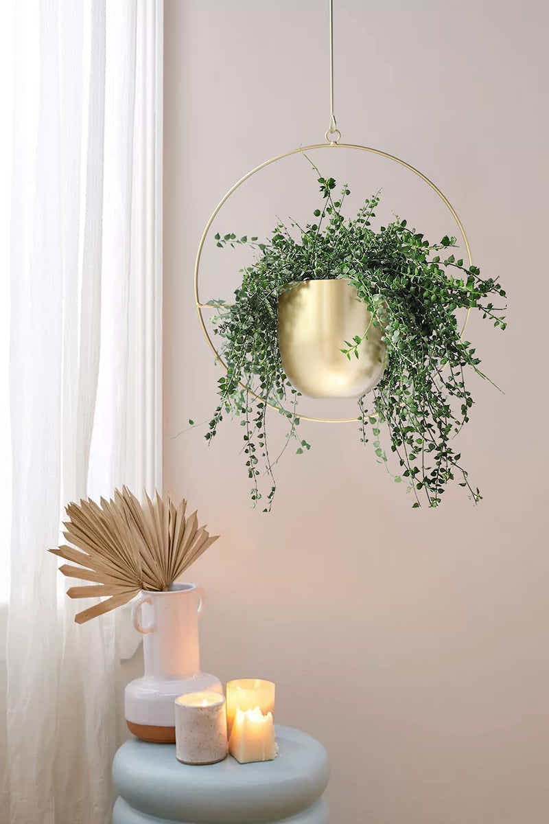 DS BS Minimalist Metal Plant Hanger Round Shape-Gold
