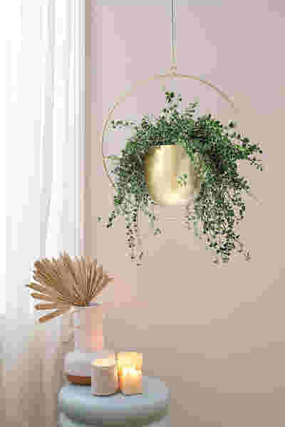 DS BS Minimalist Metal Plant Hanger Round Shape-Gold
