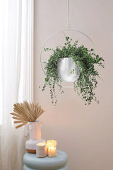 DS BS Minimalist Metal Plant Hanger Round Shape-White