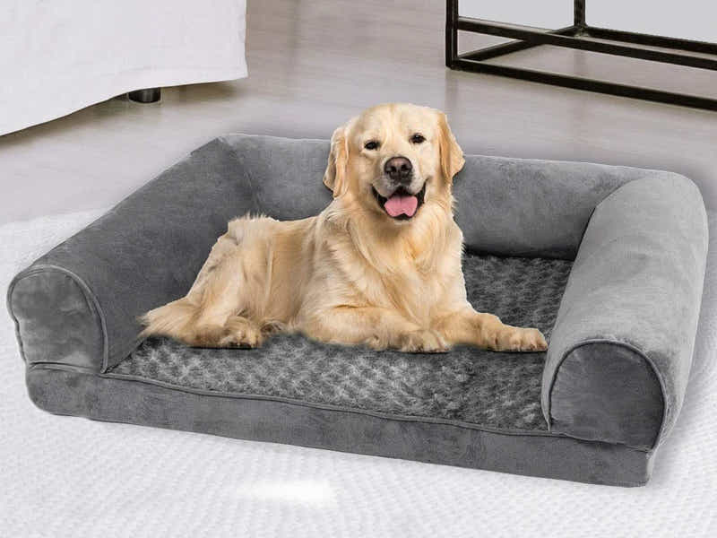 Foam Pet Bed