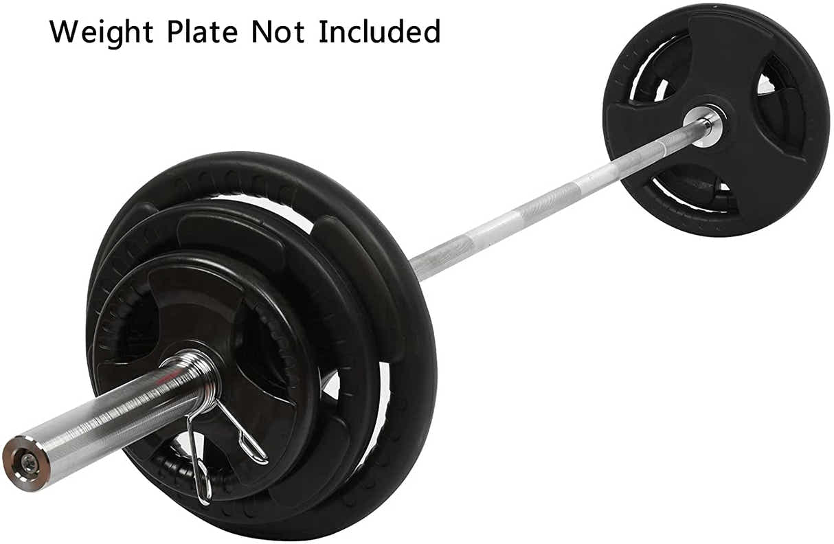 DS BS 220cm Olympic Barbell Bar-20kg