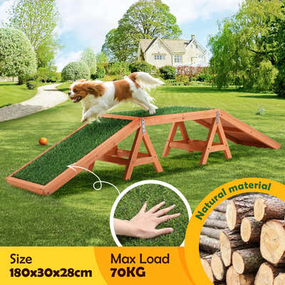 DS BD Petscene Dog Agility Ramp Puppy Obedience Training Wooden Artificial