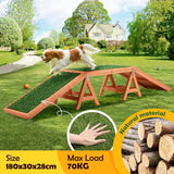 DS BD Petscene Dog Agility Ramp Puppy Obedience Training Wooden Artificial