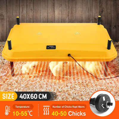 DS BD Chick Brooder Heating Plate 40x60cm 40 to 50 Chicks Adjustable Height