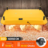 DS BD Chick Brooder Heating Plate 40x60cm 40 to 50 Chicks Adjustable Height