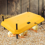 DS BD Chick Brooder Heating Plate 40x60cm 40 to 50 Chicks Adjustable Height