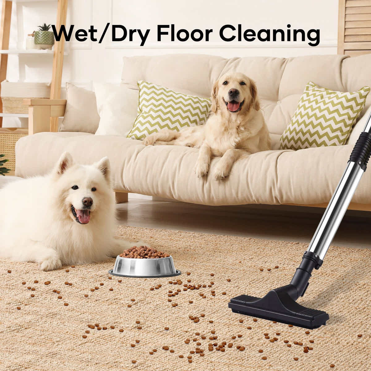 DS BD 5 In 1 Carpet Vacuum Mop Floor Sofa Wet Dry Vac Blower Pet Hair Cleaning