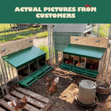 DS BD 3 Hole Chicken Nesting Roll Away Hen Laying Boxes Poultry Egg Nest Brooder