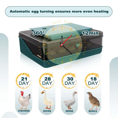 DS BD 25 Eggs Incubator Chicken Hatcher Turning Quail Duck Poultry Bird Hatching