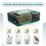 DS BD 25 Eggs Incubator Chicken Hatcher Turning Quail Duck Poultry Bird Hatching
