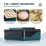 DS BD 25 Eggs Incubator Chicken Hatcher Turning Quail Duck Poultry Bird Hatching