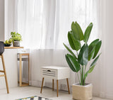 DS BS Artificial Plastic Tropical Palm Tree Ravenala-120CM