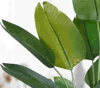 DS BS Artificial Plastic Tropical Palm Tree Ravenala-120CM