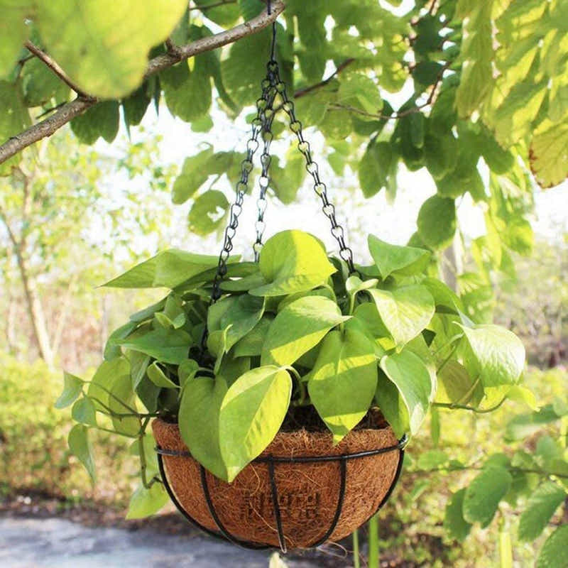 DS BS  Metal Hanging Planter - Coco Liner