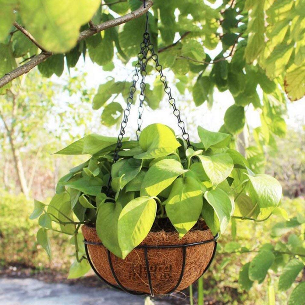 DS BS  Metal Hanging Planter - Coco Liner