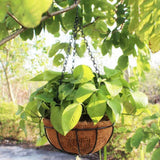 DS BS  Metal Hanging Planter - Coco Liner