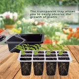 DS BS 10 Packs 12 Cells Seed Starter Tray Seed Starter Kit