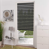 DS BS Zebra Roller Shades Blind Curtain Black 80x150cm