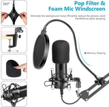 DS BS Computer Podcast Condenser Microphone USB Microphone Kit