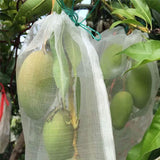DS BS 20Pcs Fruit Protection Nylon Mesh Net Bags with Drawstring-XL