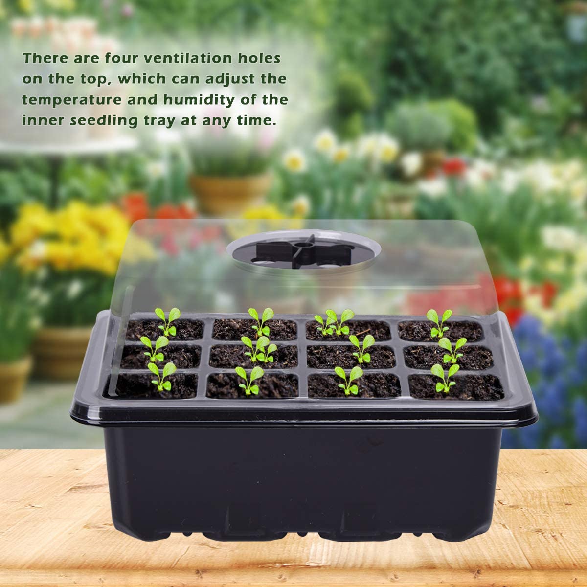 DS BS 10 Packs 12 Cells Seed Starter Tray Seed Starter Kit