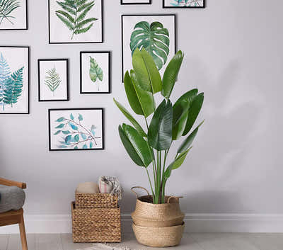 DS BS Artificial Plastic Tropical Palm Tree Ravenala-160CM