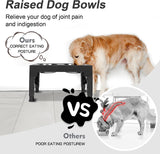 DS BS 5 Height Adjustable Elevated Dog Feeder Table with 2 Dog Bowl