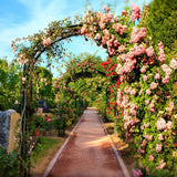 DS BS Metal Garden Arbor Wedding Arch Rack Stand with 2 Planting Box