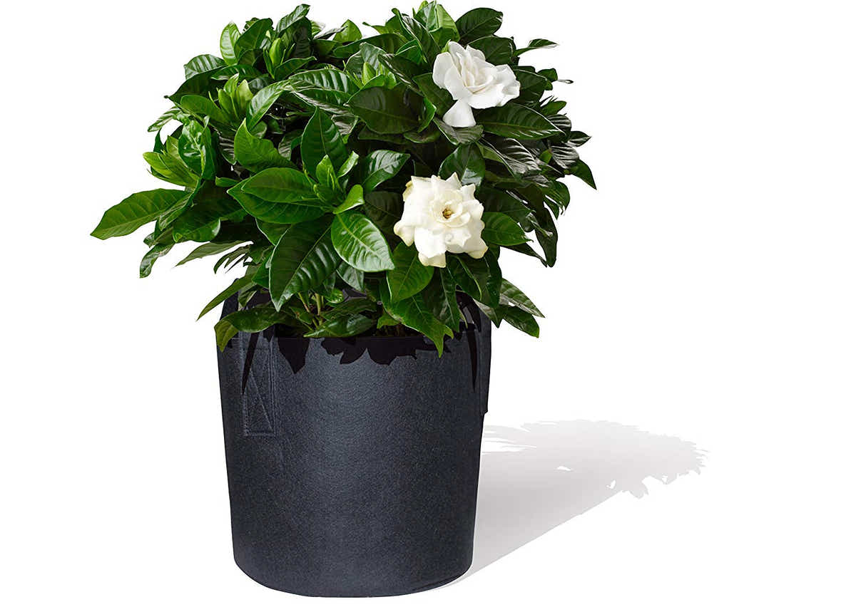 DS BS 3 Pack Garden Plant Fabric Grow Bags 37L