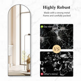 DS BD Arch Full Length Mirror Body Free Standing Hanging Floor Leaning Hallway