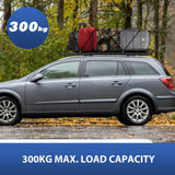 DS BD Universal Car Roof Rack Platform Storage Tray Basket Rooftop Alloy 300kg