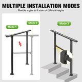 DS BD Stair Handrail 2 to 3 Steps Black Metal Adjustable Safety Guard