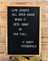DS BS Black Felt Letter Boards Large with 370 Letters