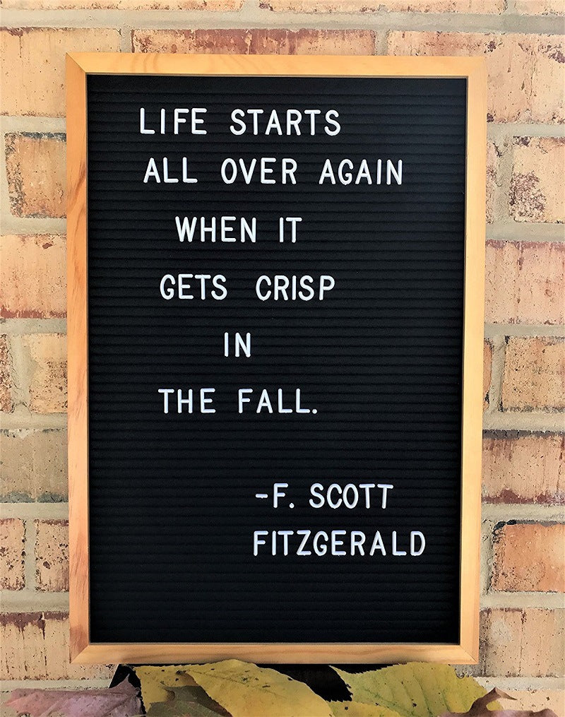 DS BS Black Felt Letter Boards Large with 370 Letters