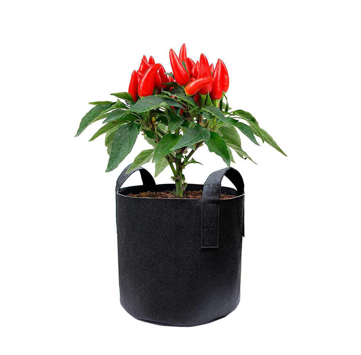 DS BS 3 Pack Garden Plant Fabric Grow Bags 37L