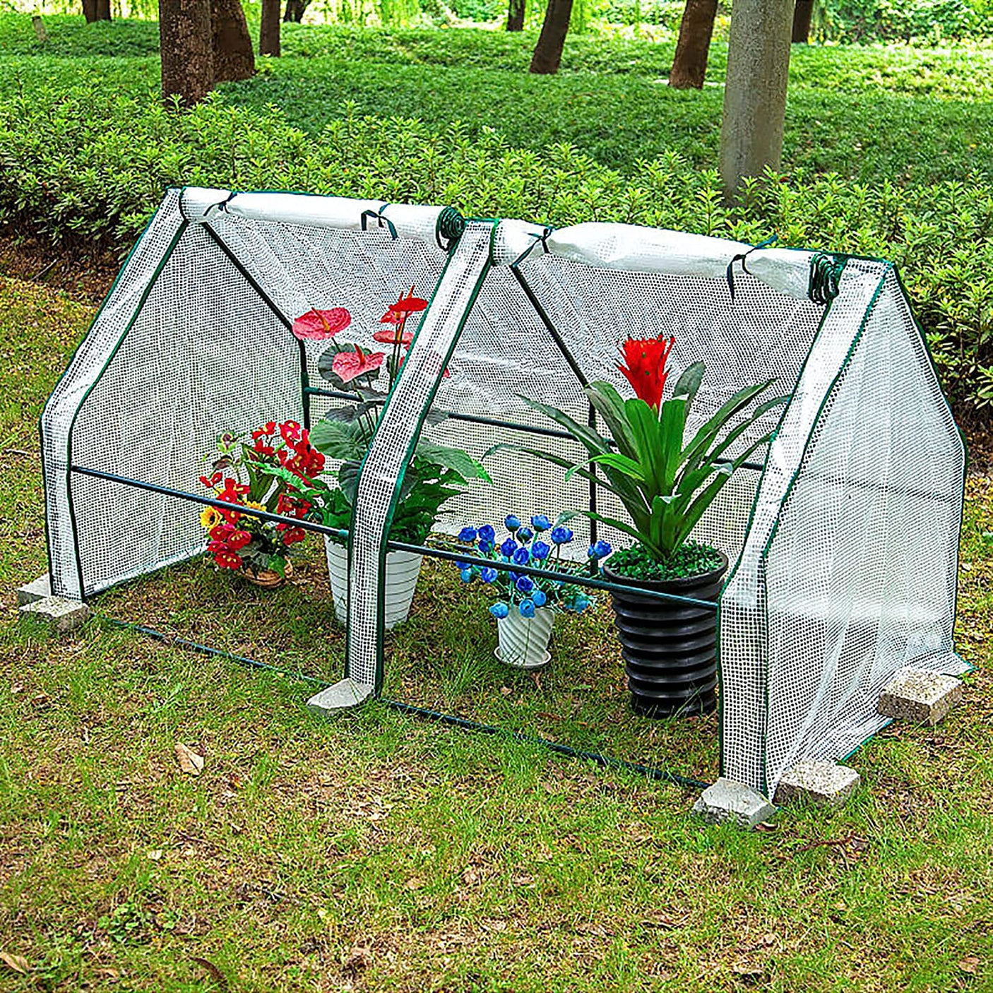 DS BS Mini Garden Plant Flower Greenhouse with Roll Up Curtains Door 180cm