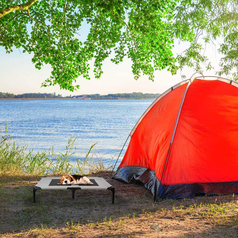 DS BS Elevated Outdoor Dog Bed with Canopy-L