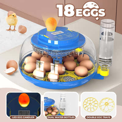 DS BD 18 Eggs Incubator Hatcher Automatic Double Layer Machine LED Candler