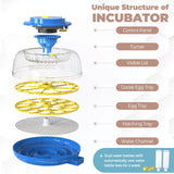 DS BD 18 Eggs Incubator Hatcher Automatic Double Layer Machine LED Candler