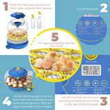 DS BD 18 Eggs Incubator Hatcher Automatic Double Layer Machine LED Candler