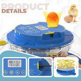 DS BD 18 Eggs Incubator Hatcher Automatic Double Layer Machine LED Candler