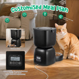 DS BD Auto Cat Feeder 3L Food 2L Water Dispenser Timed 10s Recorder 4 Daily