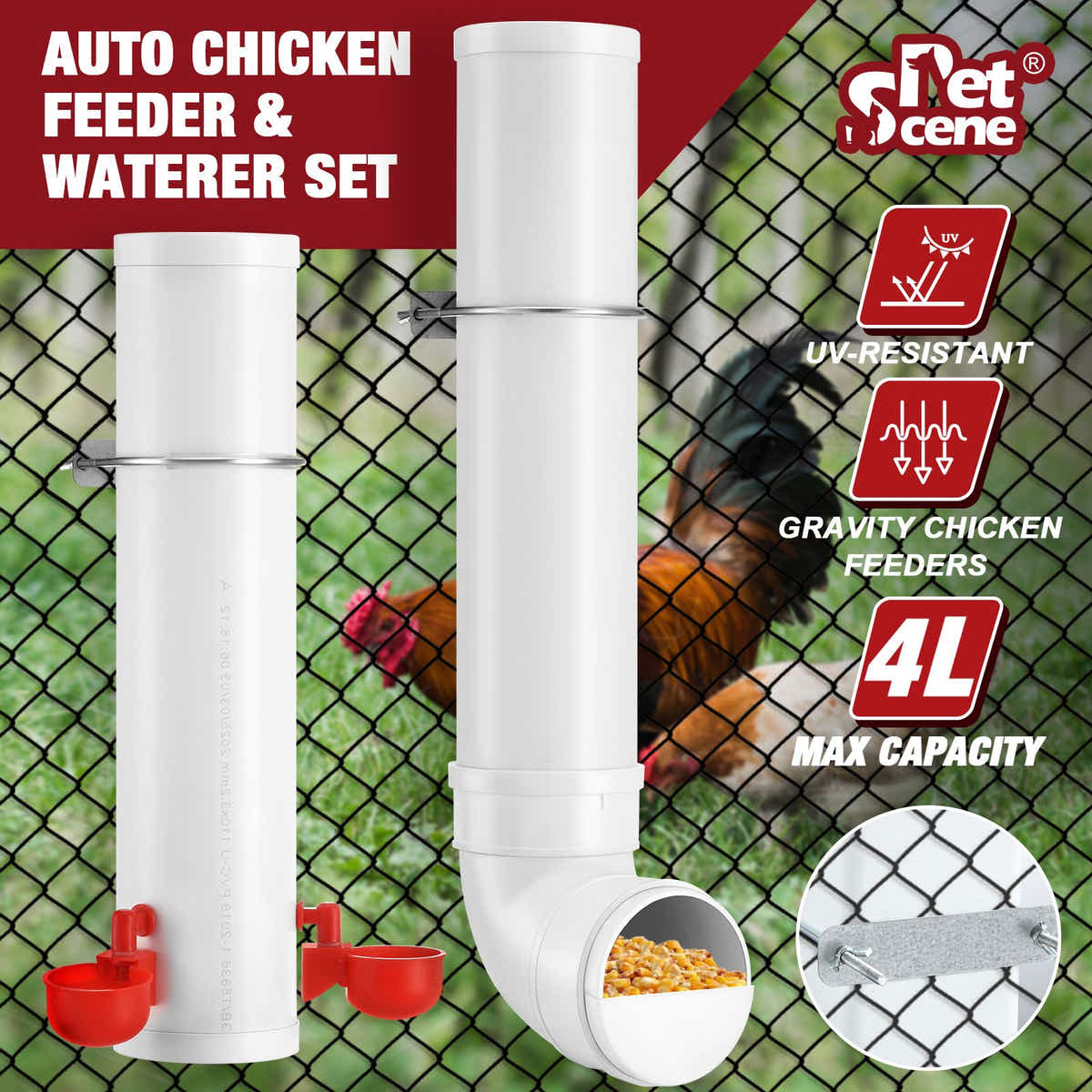 DS BD Chicken Bird Feeder Water Dispenser Automatic Waterer Poultry Food 4L