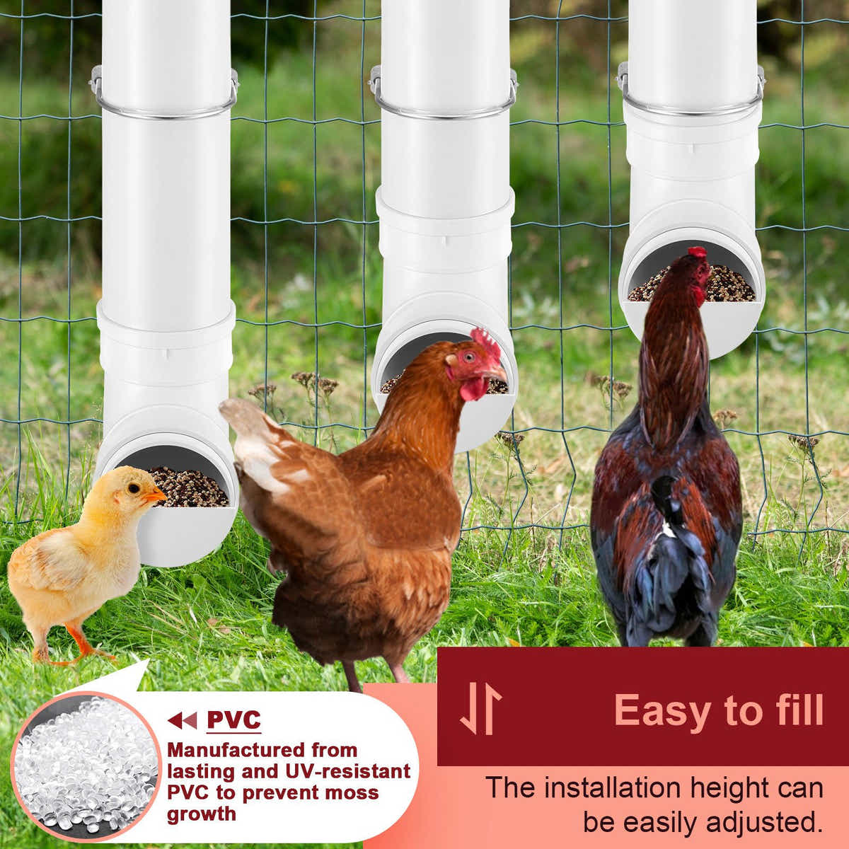 DS BD Chicken Bird Feeder Water Dispenser Automatic Waterer Poultry Food 4L