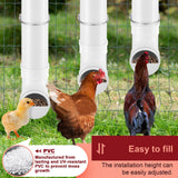 DS BD Chicken Bird Feeder Water Dispenser Automatic Waterer Poultry Food 4L