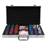 DS BD 300Pcs Casino Poker Chips Texas Holdem Blackjack Playing Card Club Party