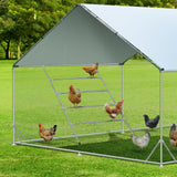 DS BD Chicken Bird Perch Roosting Bars Ladder Climbing Frame Farm Backyard Play