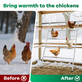 DS BD Chicken Bird Perch Roosting Bars Ladder Climbing Frame Farm Backyard Play